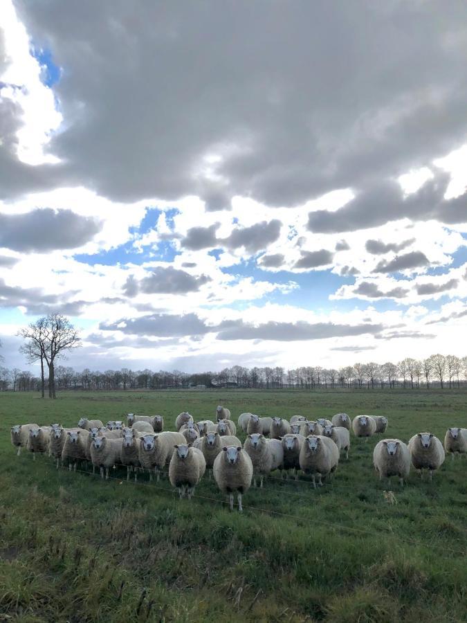 B&B de Tuinfluiter Nieuwleusen Extérieur photo